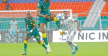 yanga