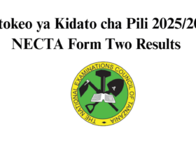 Matokeo ya Form Two 2025/2026 (Matokeo Kidato Cha Pili) NECTA Form Two Results